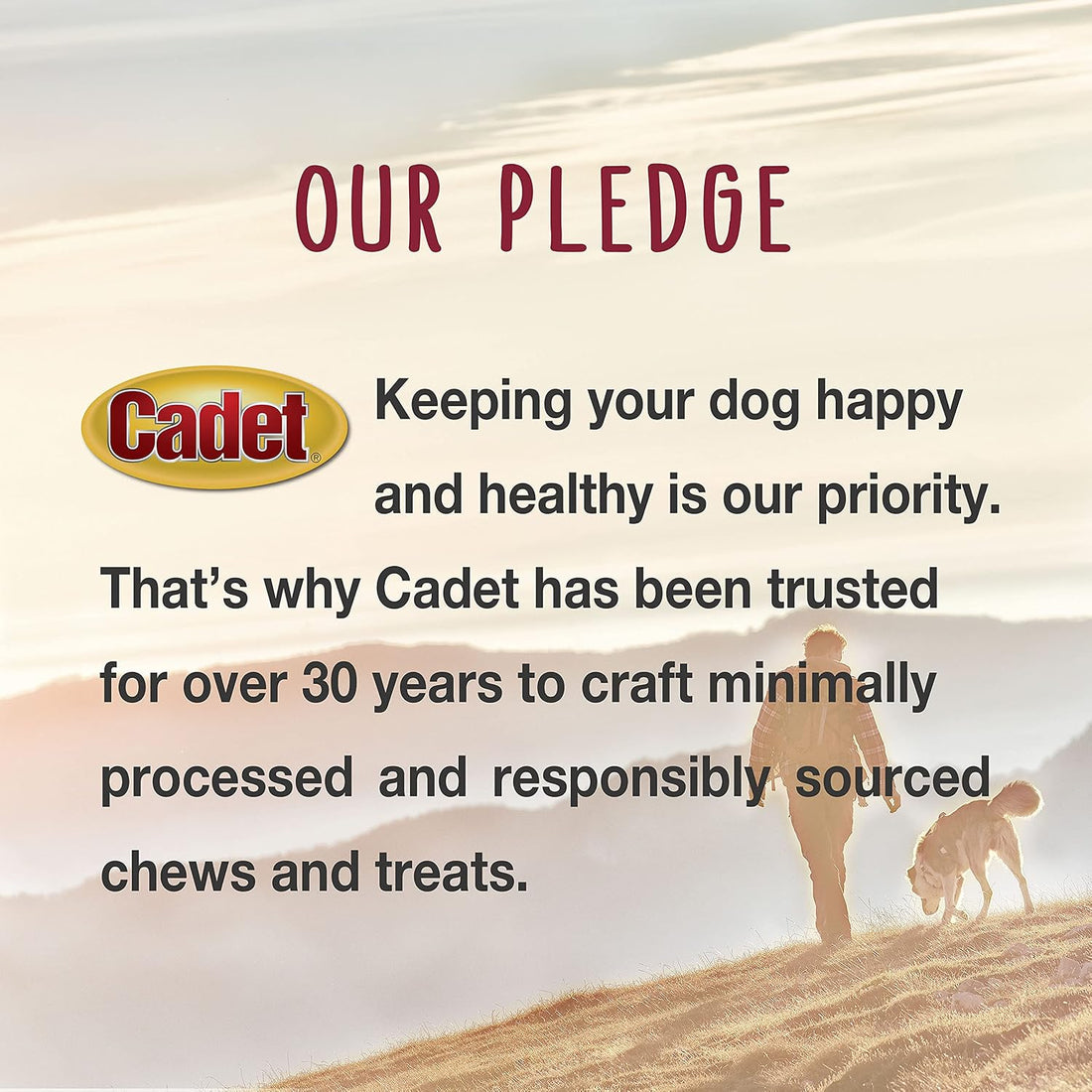 Cadet Premium Grade Beef Hide Knotted Bones Dog Chews, 1 lb, 4-5"