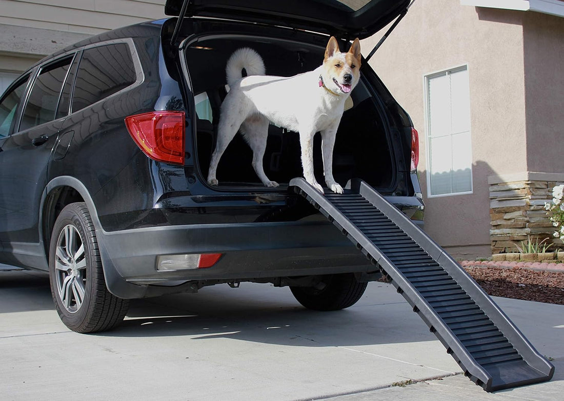 PawStep 61" Folding Pet Ramp, Portable Dog Ramp for Cars, SUVs