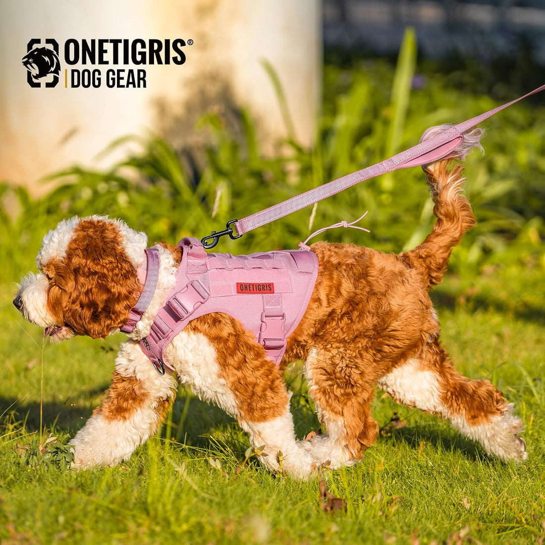 OneTigris Handled No-Pull Dog Walking Leash Long Traffic Leads