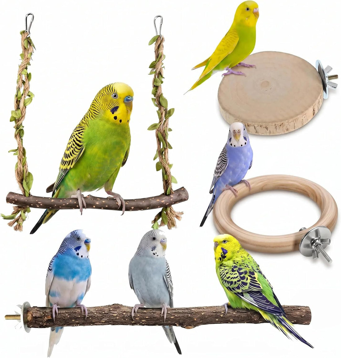 4-in-1 Bird Perches for Cage, Natural Wood Stands for Small Parrots