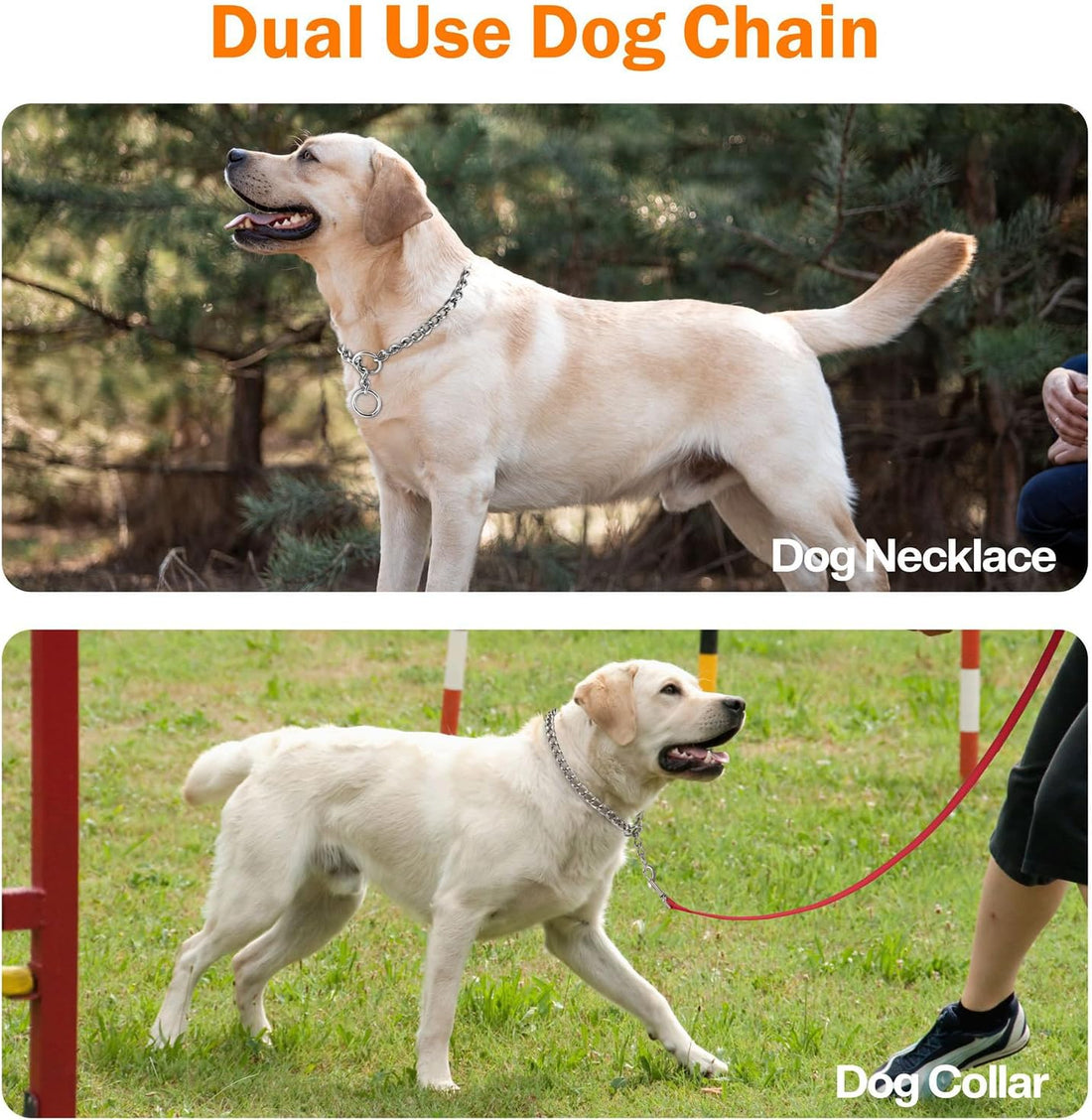 TagME Chain Choke Collar for Dogs