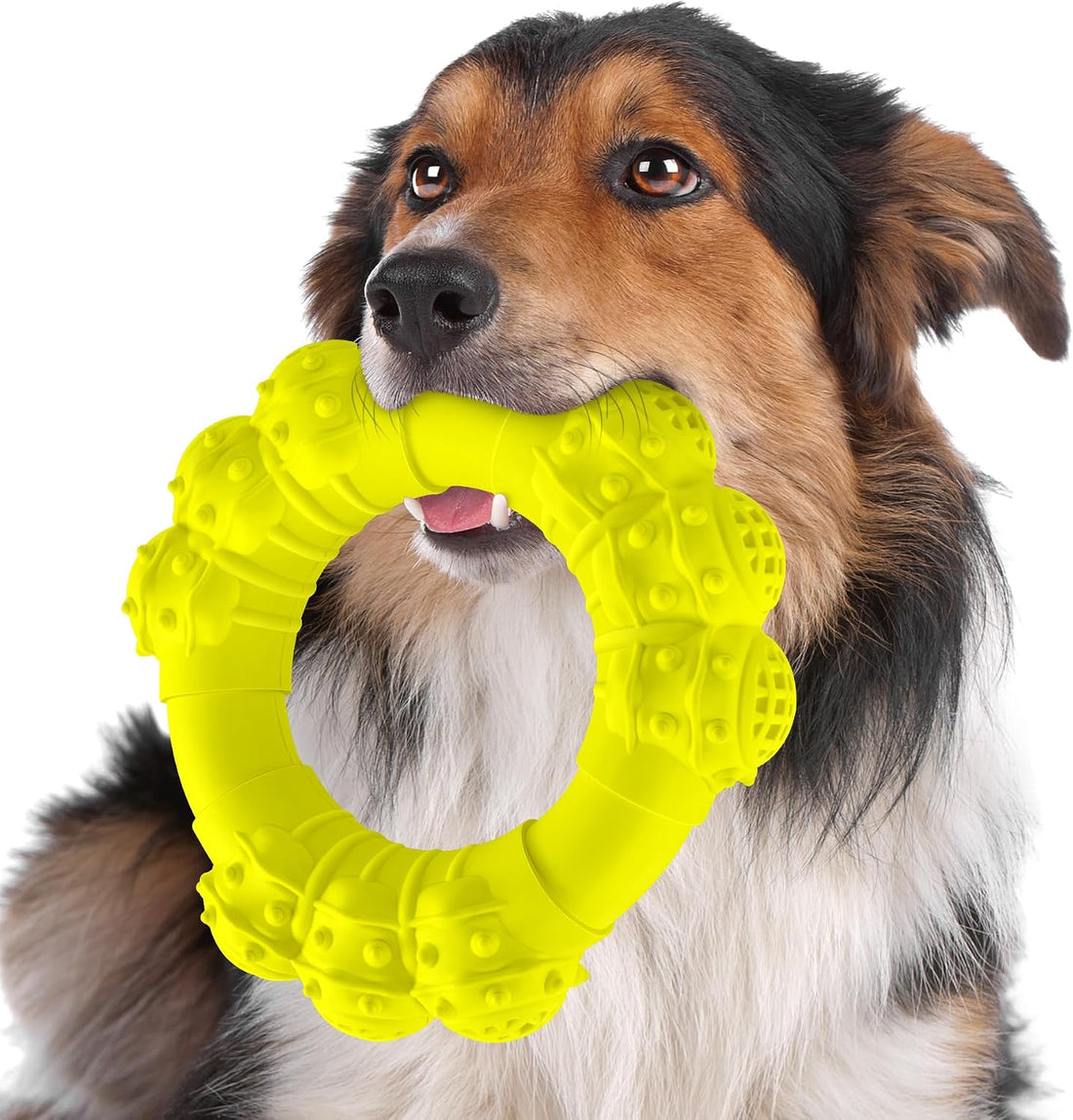 Indestructible Dog Chews - Super Duty Chew Toys for Aggressive Dogs