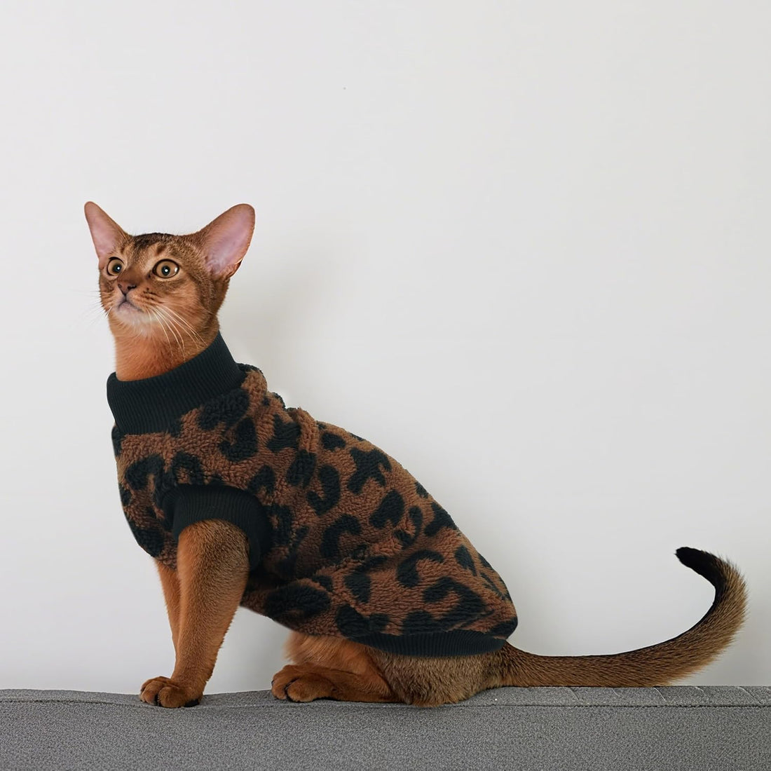 PUMYPOREITY Cozy Fleece Cat Sweater