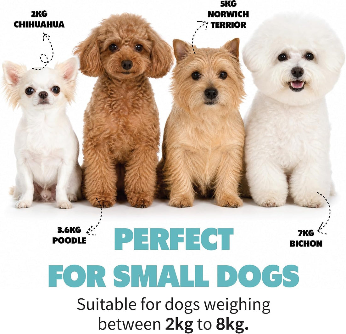 Dog Tote Bag for Small Dogs 4–20 lbs with Safety Leash