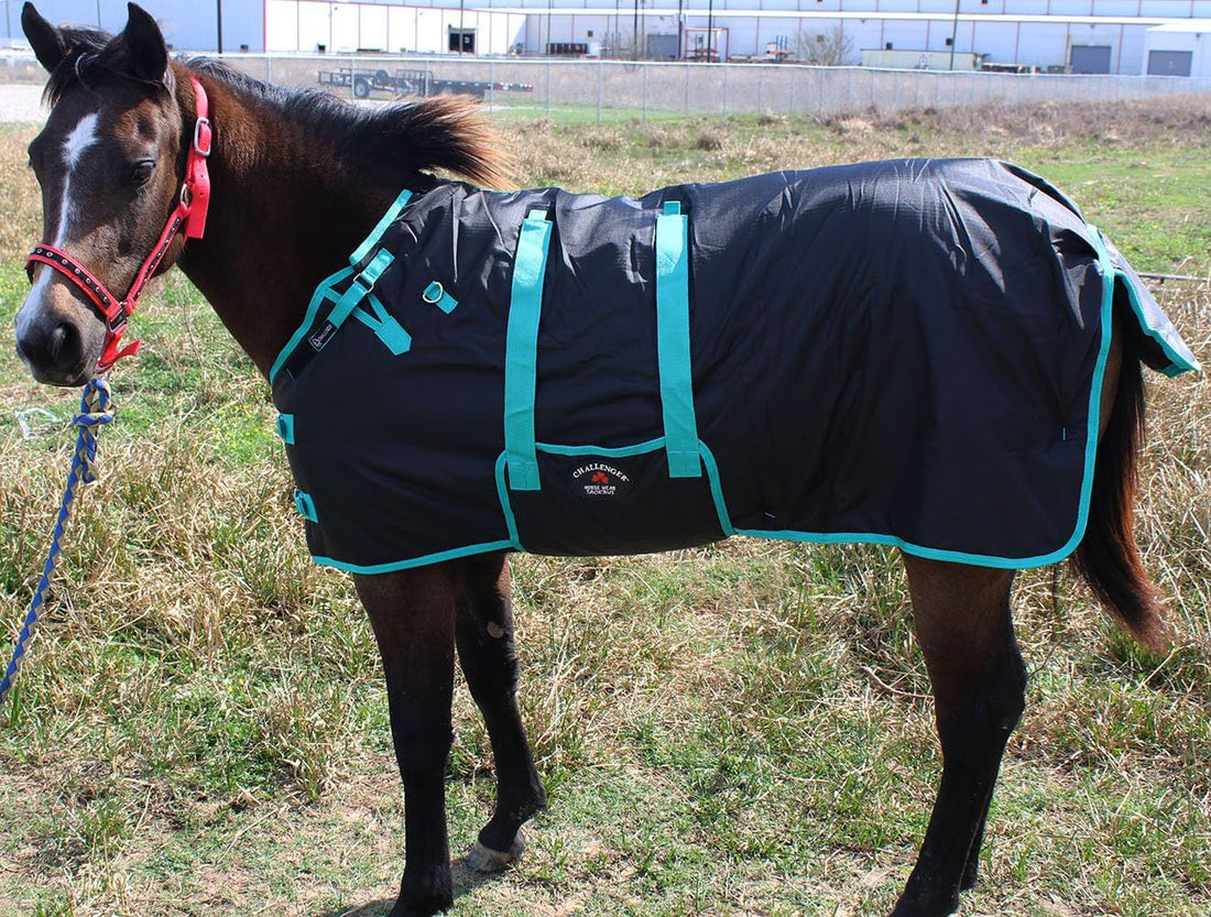 56" Challenger 1200D Miniature Weanling Donkey Foal Pony Horse Winter