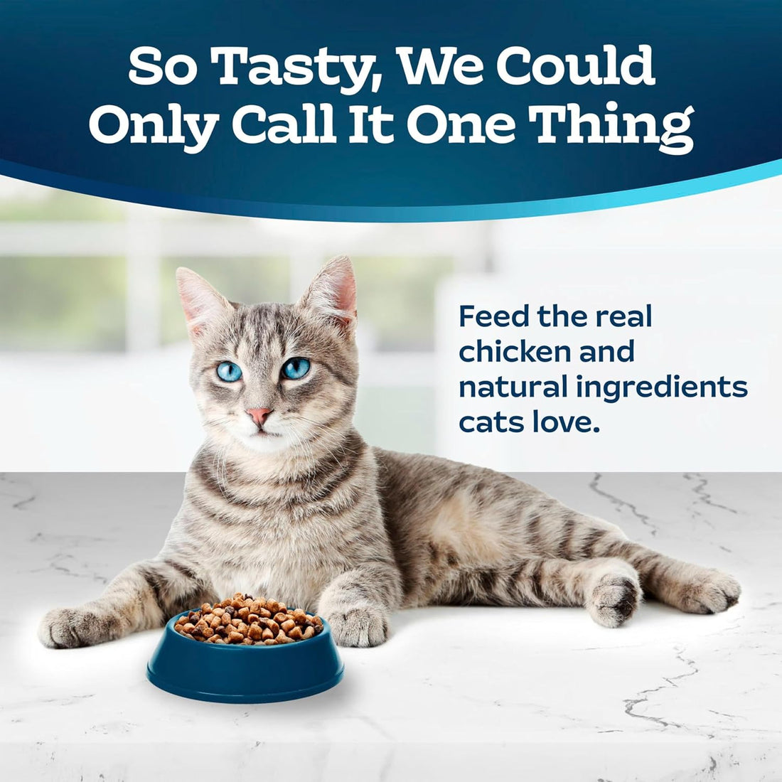 Blue Buffalo Tastefuls Chicken Adult Hairball Control Dry Cat Food