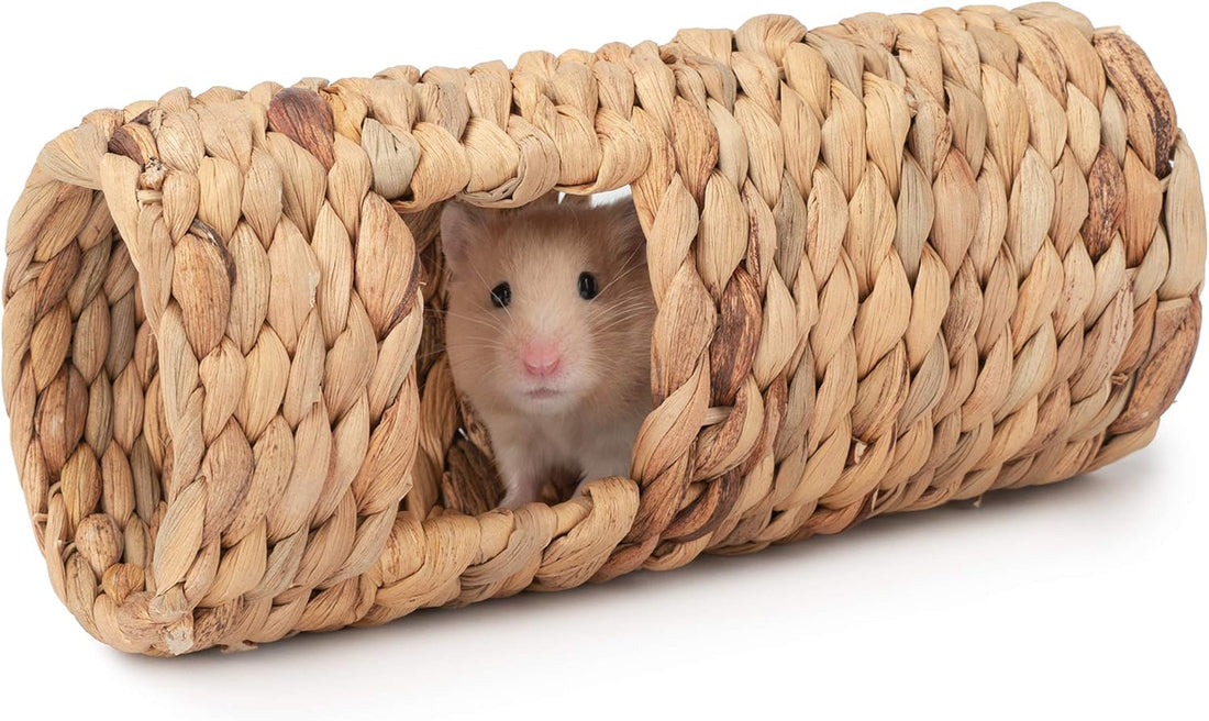 Niteangel Creative & Composable Hamster Tunnel