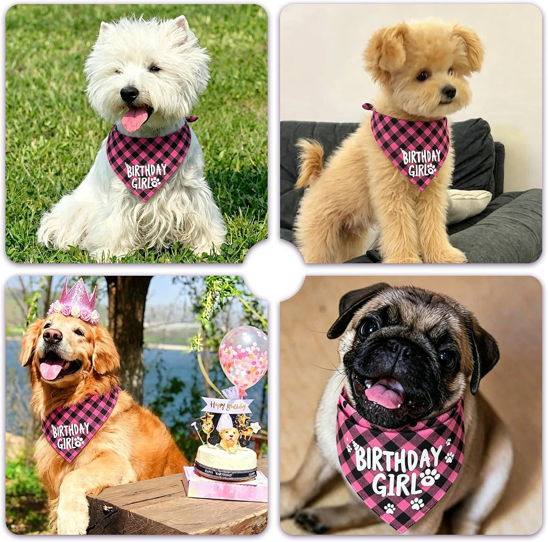 Dog Birthday Party Supplies, Pink Birthday Girl Dog Bandana