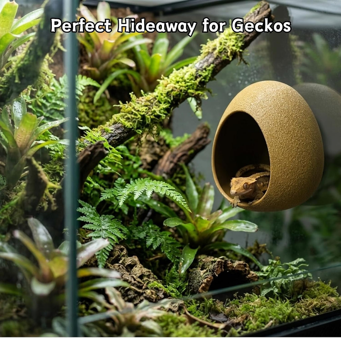 Egg Reptile Hide Cave with Suction Cups, Hanging Gecko Shelter