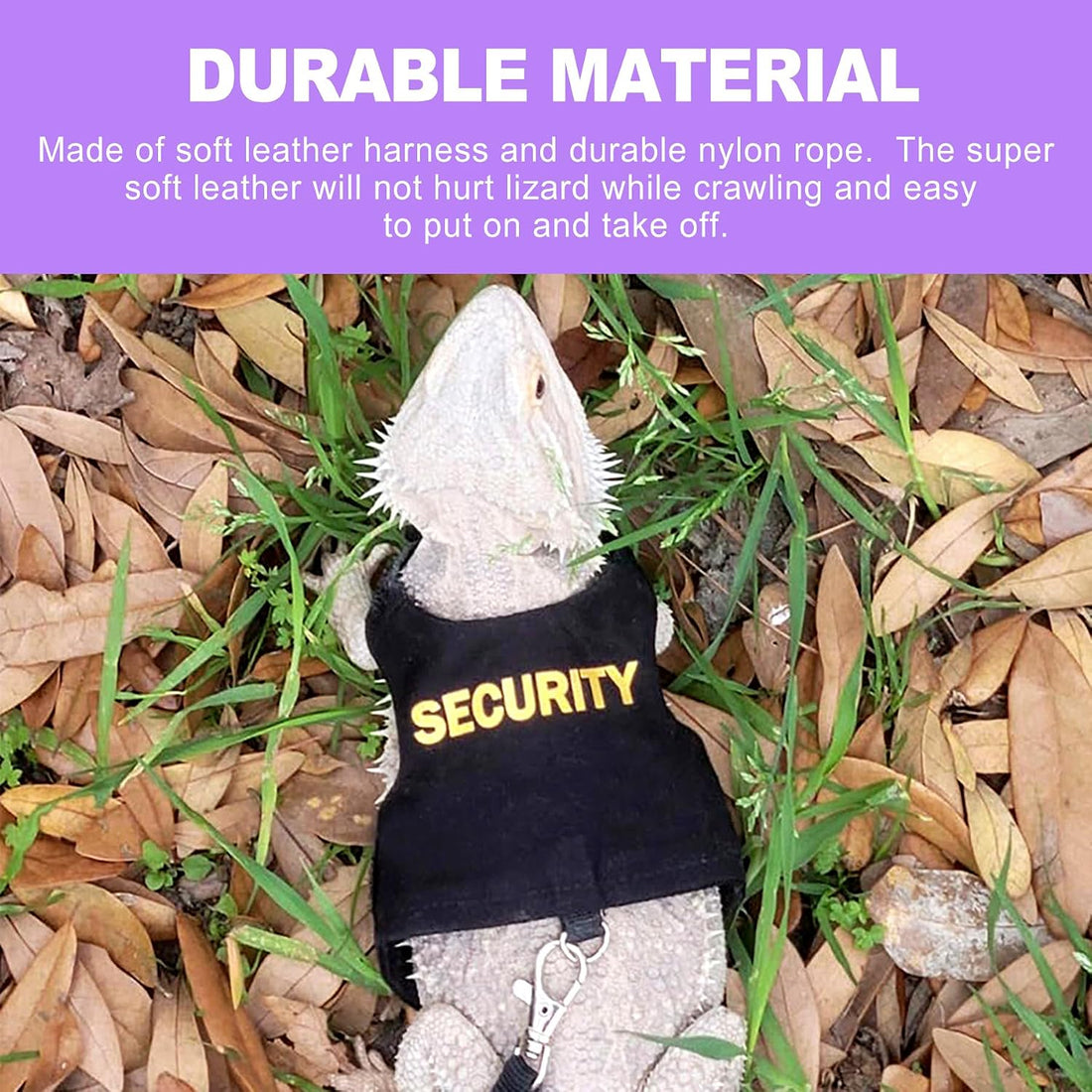 Bearded Dragon Harness & Leash Kit