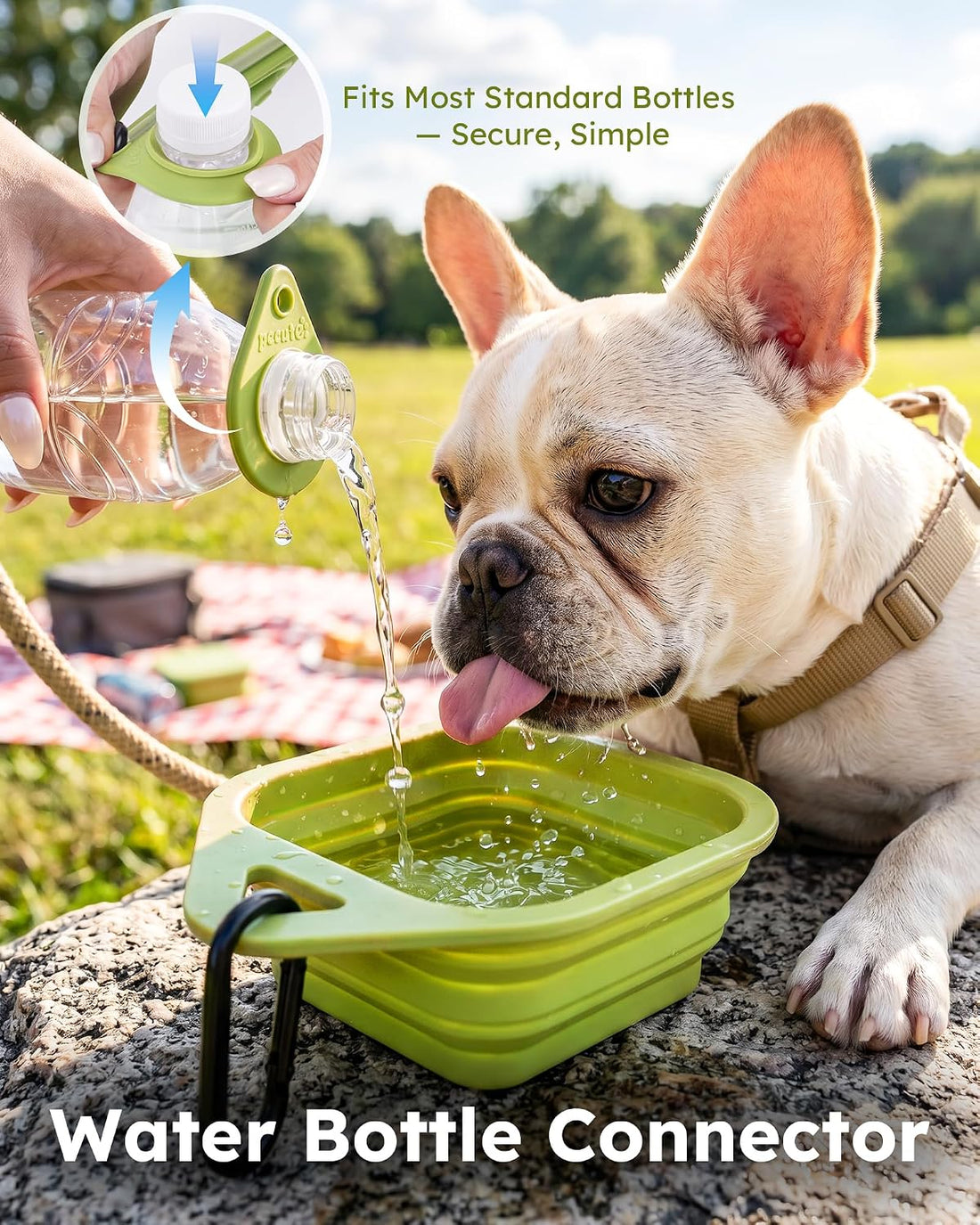 Pecute 2 Pack Collapsible Dog Bowls, Food-Grade Silicone