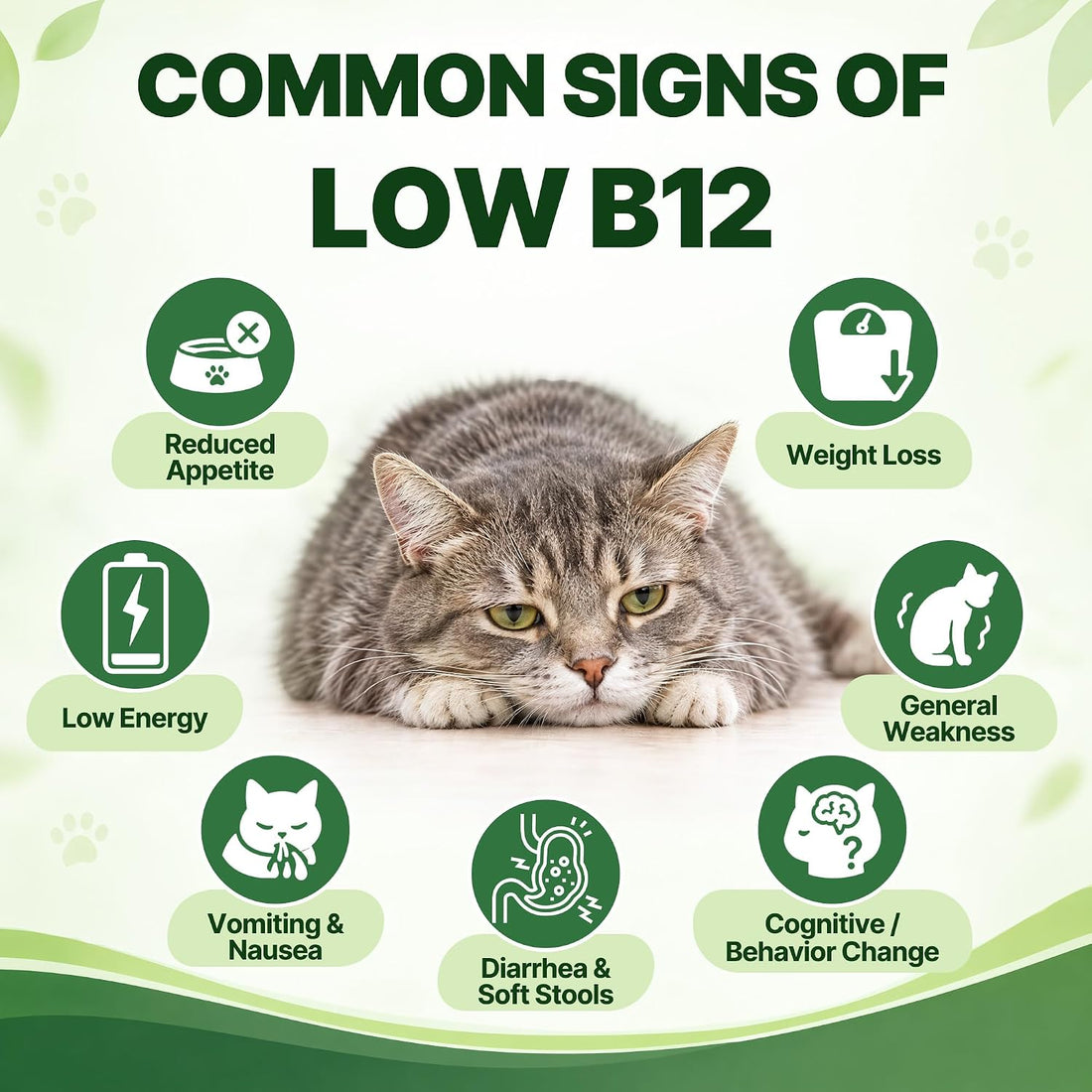 Vitamin B12 for Cats|Superior Methylcobalamin|Developed for B12