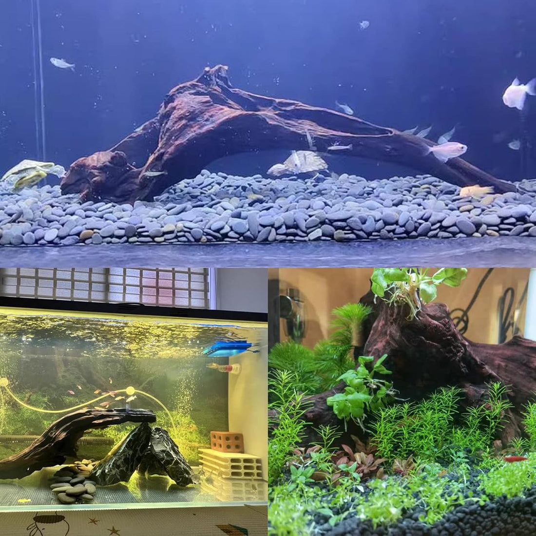 Tfwadmx Natural Driftwood for Aquarium Decor 11-17" Fish Tank Reptile