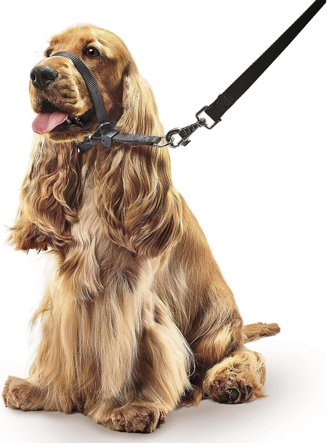 Beaphar - Gentle Leader - Head Collar for Medium Dogs
