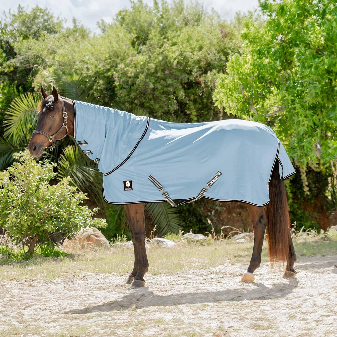 Equinavia Brisk Mesh Horse Fly Sheet with Neck Coverage, UV Protection