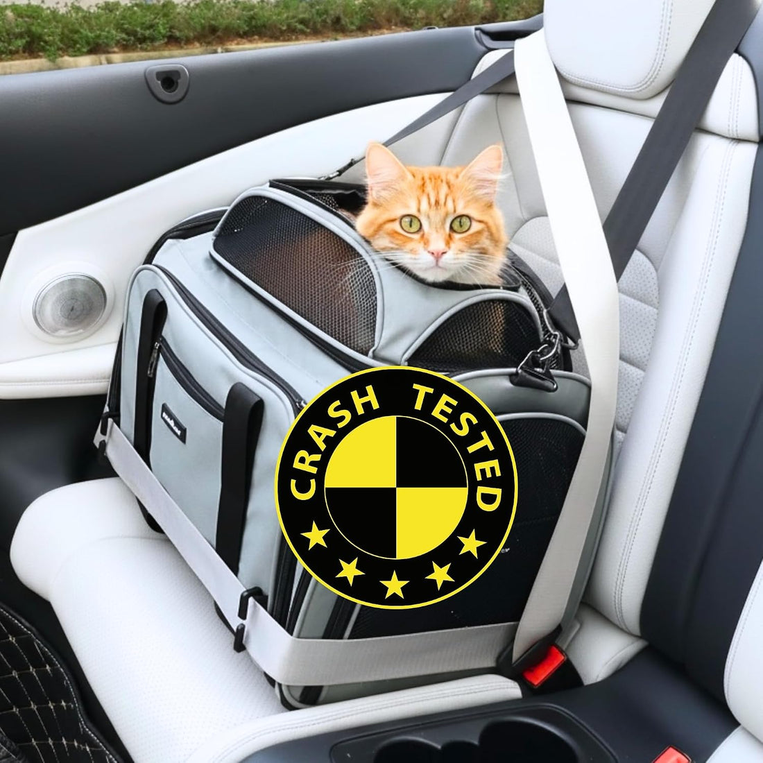 Crash-Tested Top Side Expandable Cat Carrier for Crash Protection