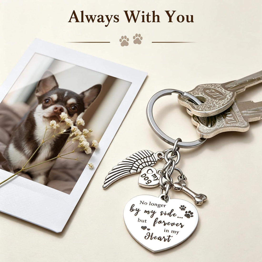 Pet Memorial Gifts for Dogs, Keepsakes Sympathy Remembrance Keychain