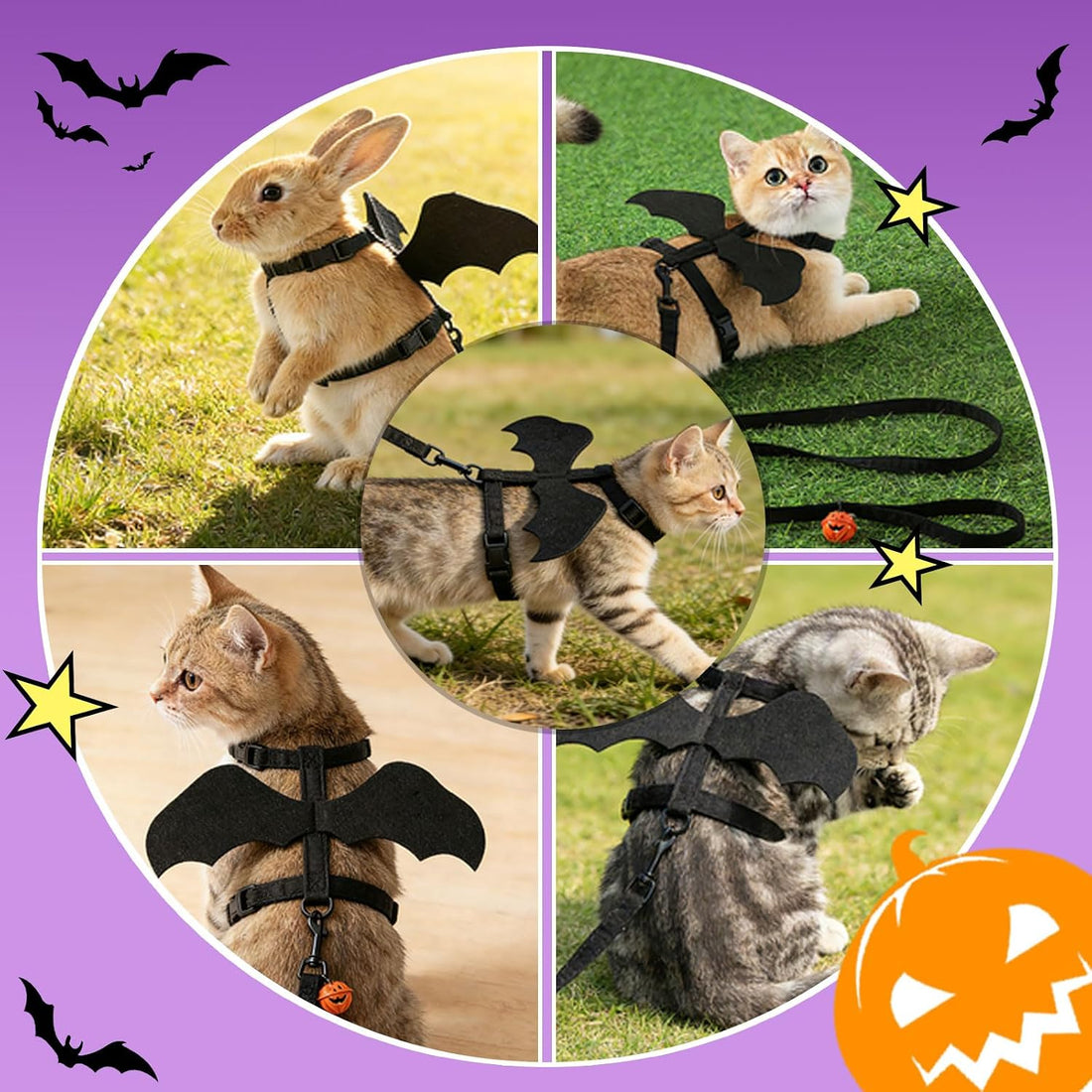 Cat Harness and Leash with Bat Wings, Escape Proof Leash (S)