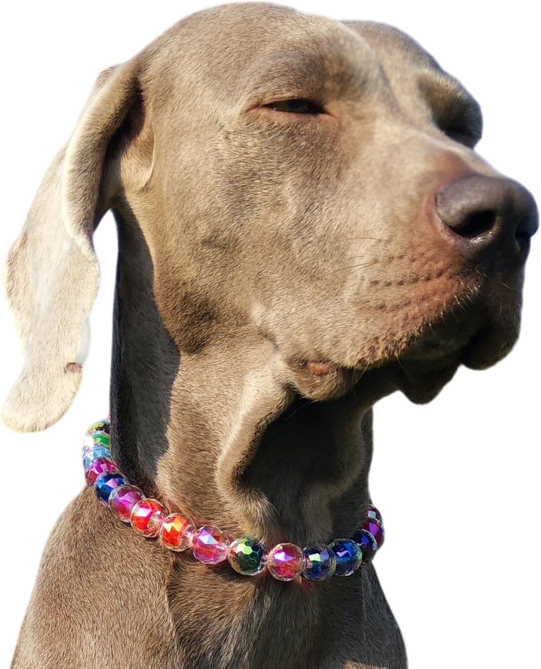 Adjustable Dog Necklace with Elegant Sparkling Colorful Crystal Pearl