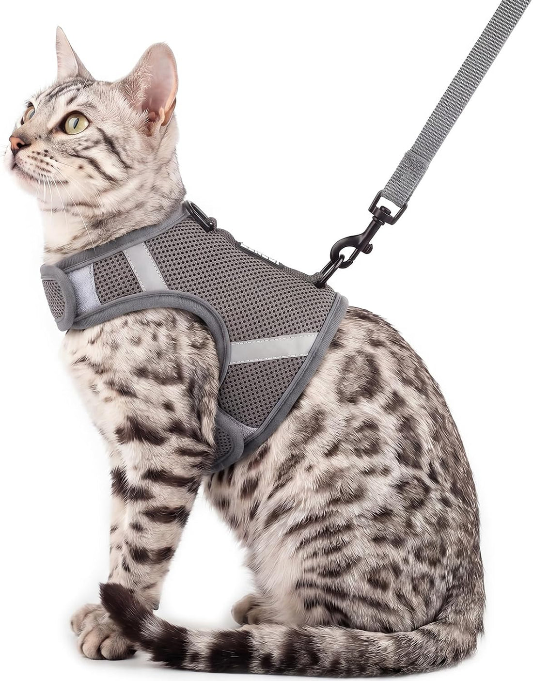 Cat Harness and Leash Set, No Over-the-Head Cat Vest, Orange, M