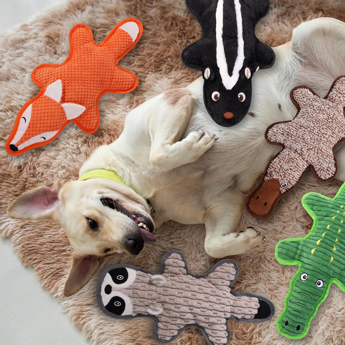 5 Pack No Stuffing Squeaky Dog Toys for Large Dogs