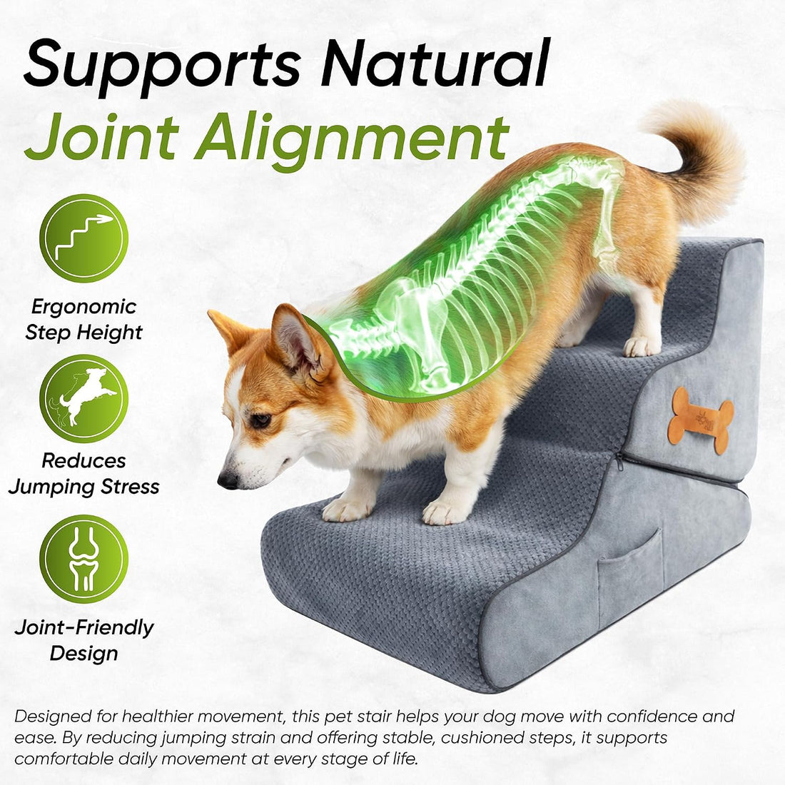 Dog Stairs for Bed & Couch โ BuddyRamp 2-in-1 Foldable Dog Stairs
