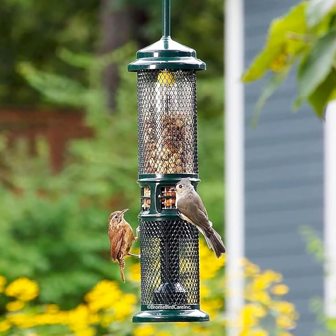 Squirrel Buster Nut Truly Squirrel-Proof Bird Feeder