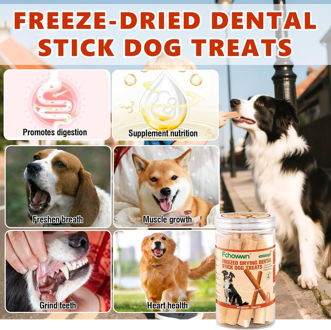 120g/4.23oz Dehydrated Salmon Sticks for Dogs,High-Protein Treats