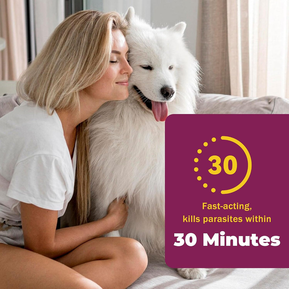 Fenbendazole for Dogs 22.2%, Large Dog Dewormer Powder