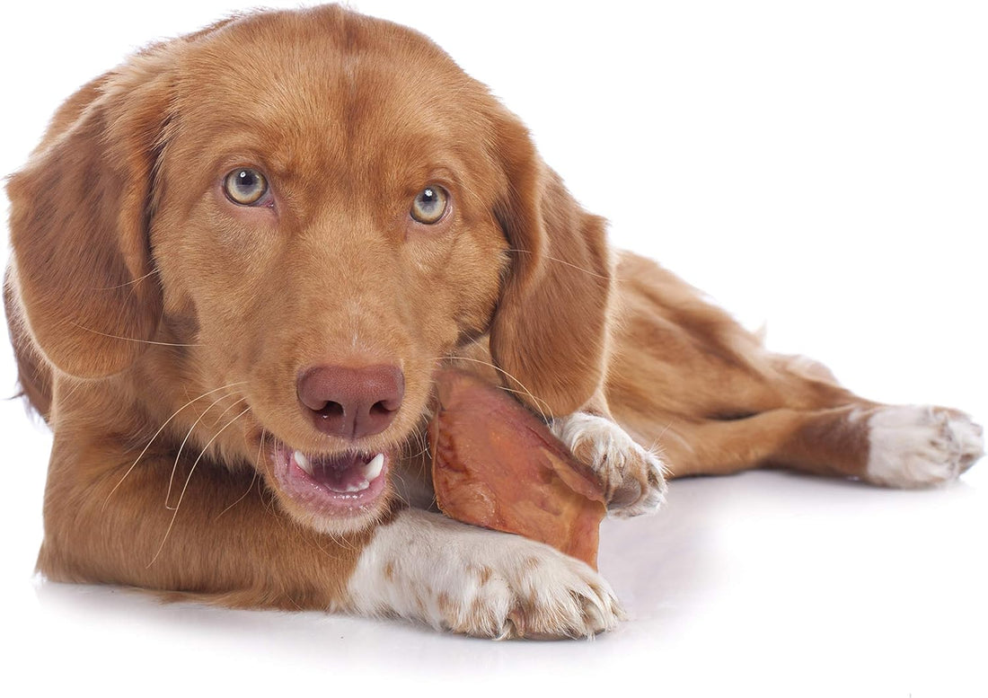 Cadet Natural Pig Ears for Dogs (25 Count)