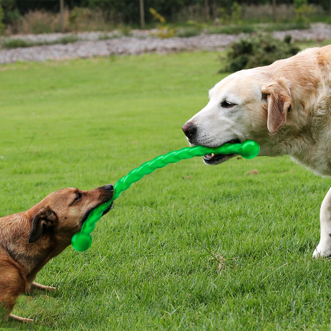 Ycozy Dog Chew Toys 19'' Long for Medium/Large Dogs Aggressive Chewers