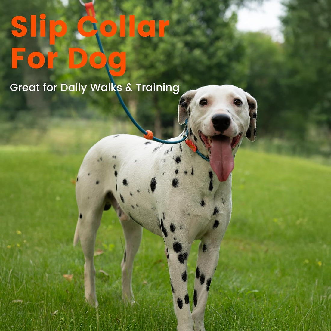 HowGo Slip Collar for Dogs,Adjustable Martingale Collar