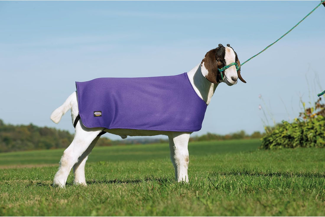 Weaver Leather Sheep Underblanket Large/Extra Large Purple