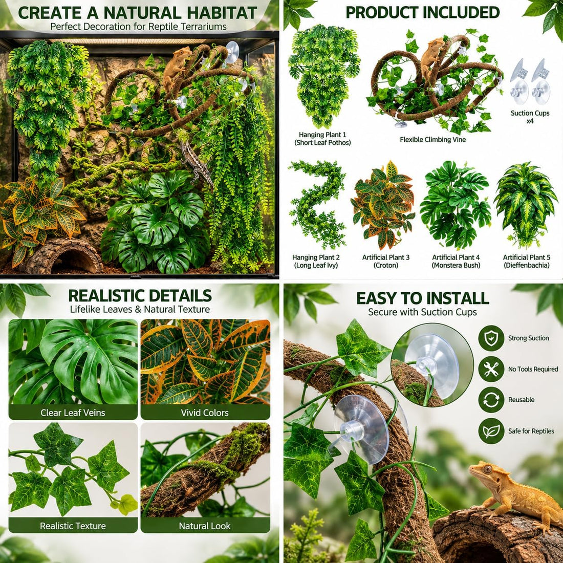 Reptile Plants for Terrarium Tank