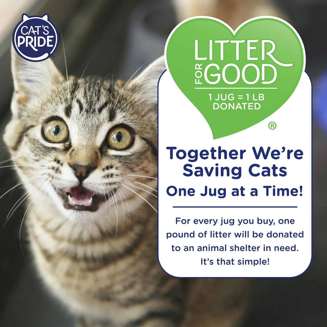 Cat's Pride Lightweight Clumping Litter: Flushable