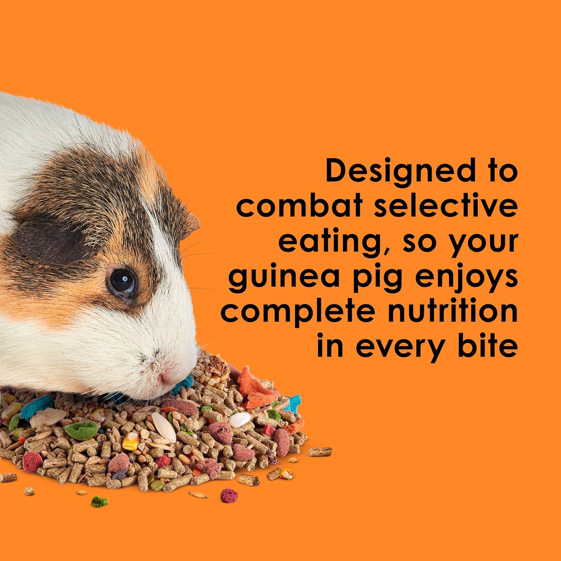 Kaytee Fiesta Guinea Pig Food, Nutritious Blend, 4.5 Pounds
