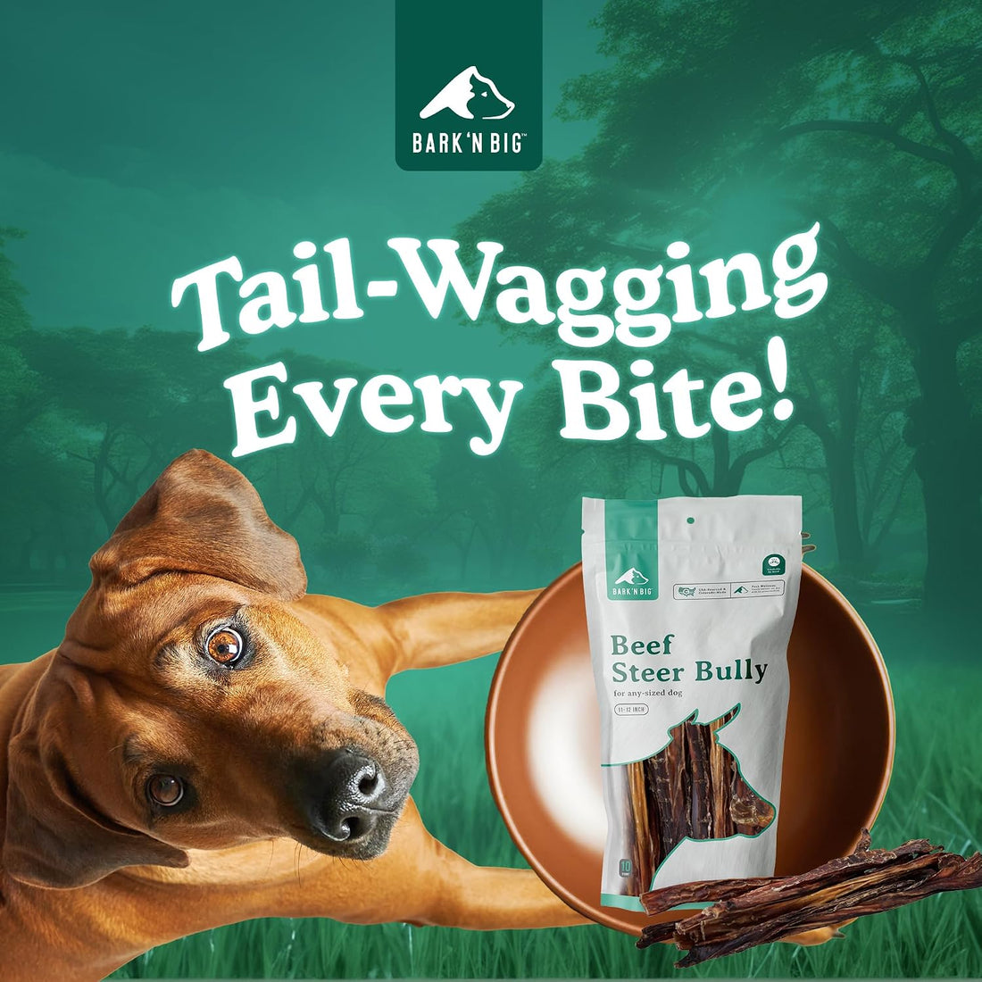 Thick Odor Free Steer Bully Sticks 5-6 Inch 12 Count