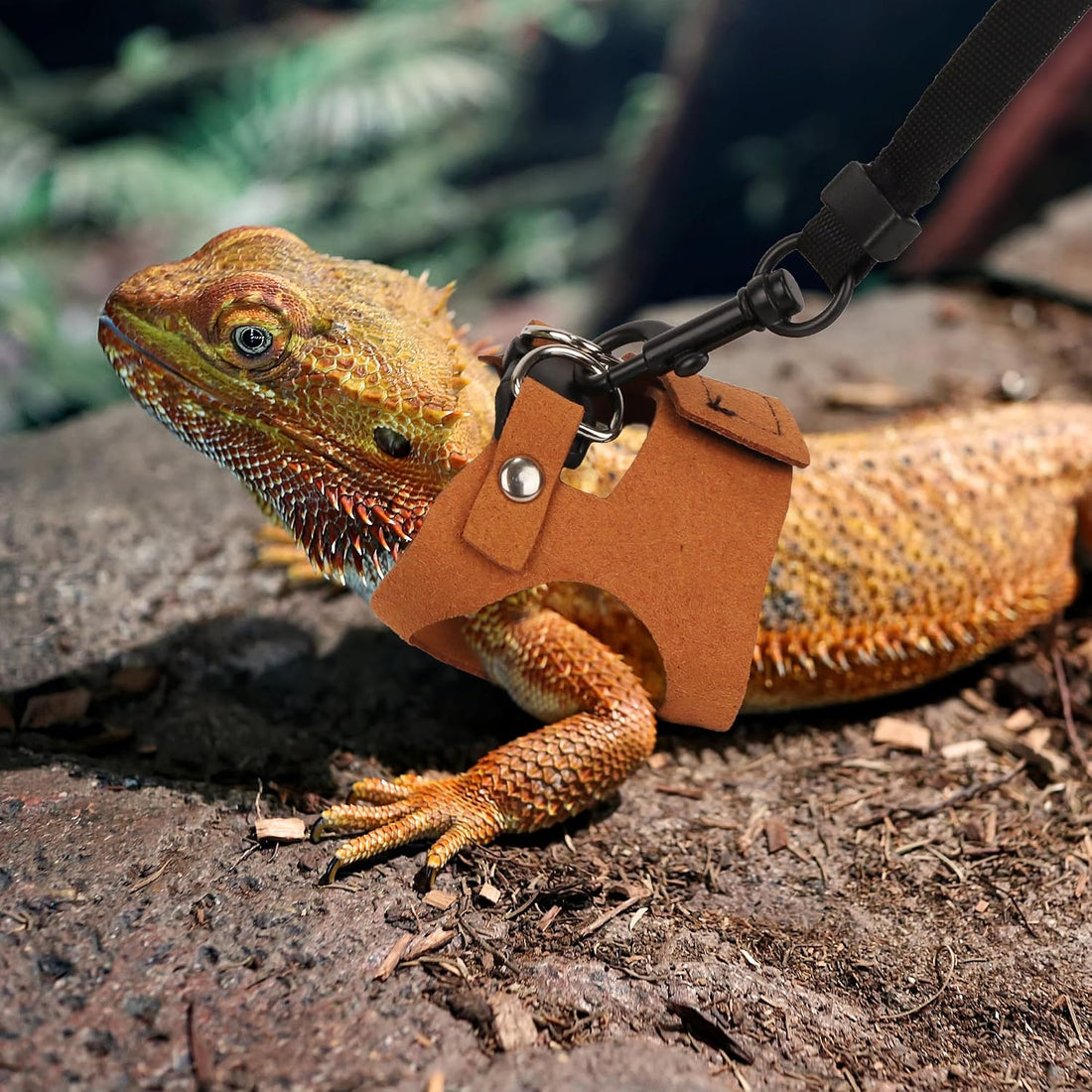 ADOGGYGO Bearded Dragon Harness Leash Set, 3 Size Lizard Harness