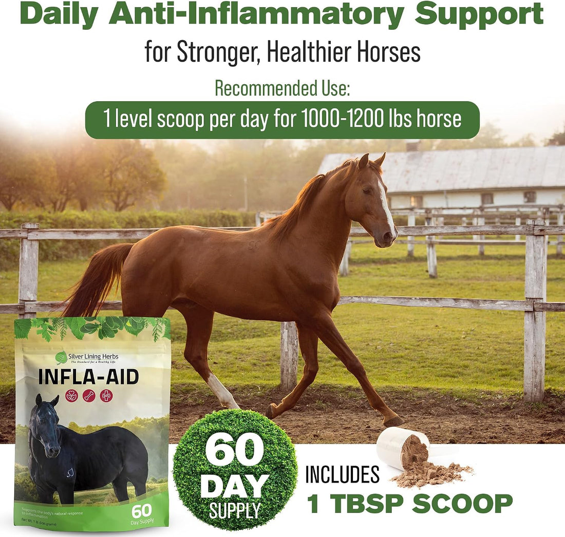 Silver Lining Herbs Infla-Aid Inflammation Relief Supplement - 1 lb