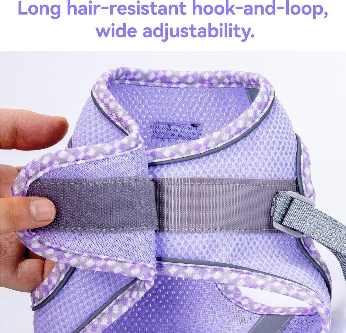 Petank Dog Harness for Small Medium Dogs No Pull