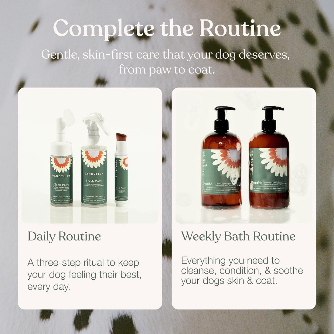 Dandylion Dog Grooming Kit, Paw Cleaner