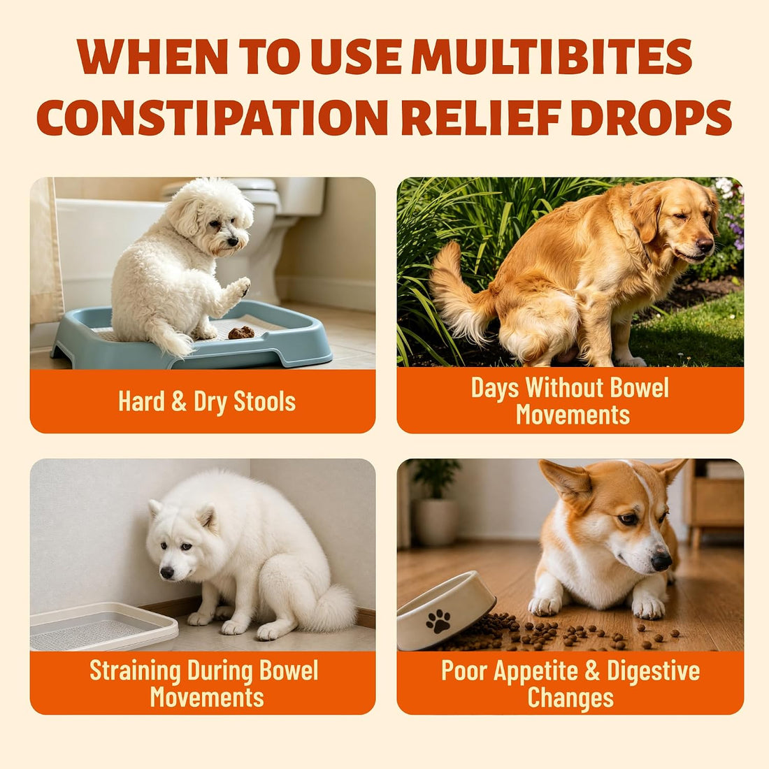 Cat & Dog Probiotics for Constipation Relief & Gut Health 2fl oz