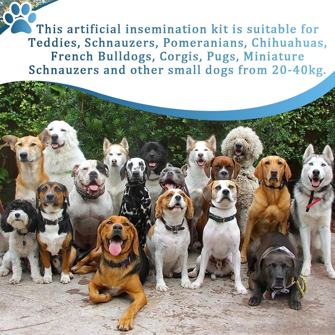 Dog Artificial Insemination Kit for 44-88 lb Dogs in Home Breeding