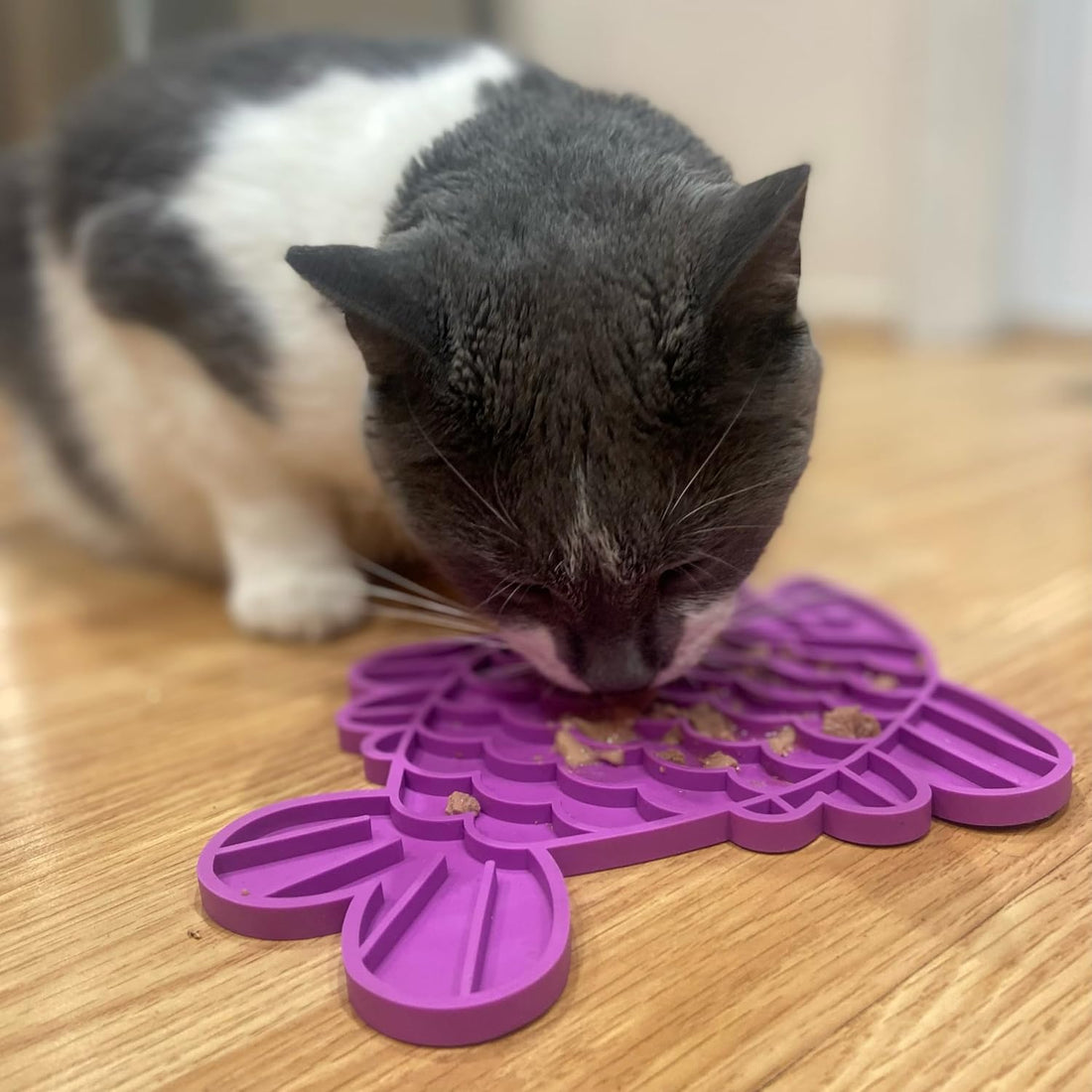 SPOT Soother Lick Mat-Licking Mat for Cats, Kittens