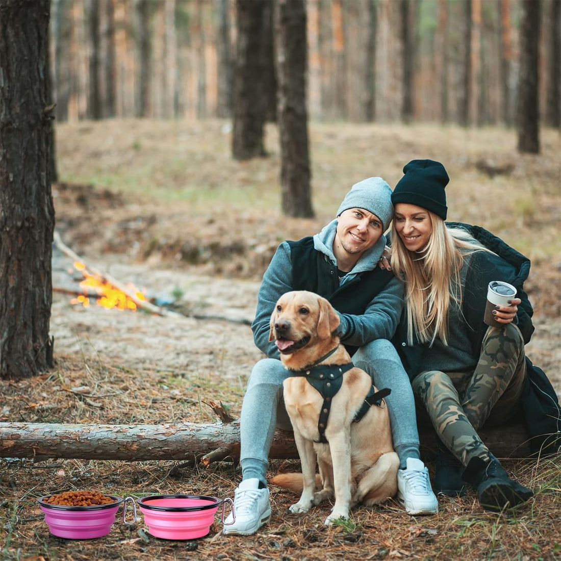Dog Bowl Large Pet Collapsible Bowls