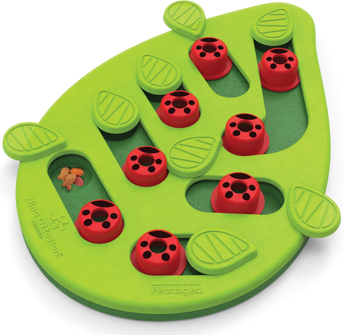 Catstages Nina Ottosson Buggin’ Out Puzzle & Play Cat Toy Treat Puzzle