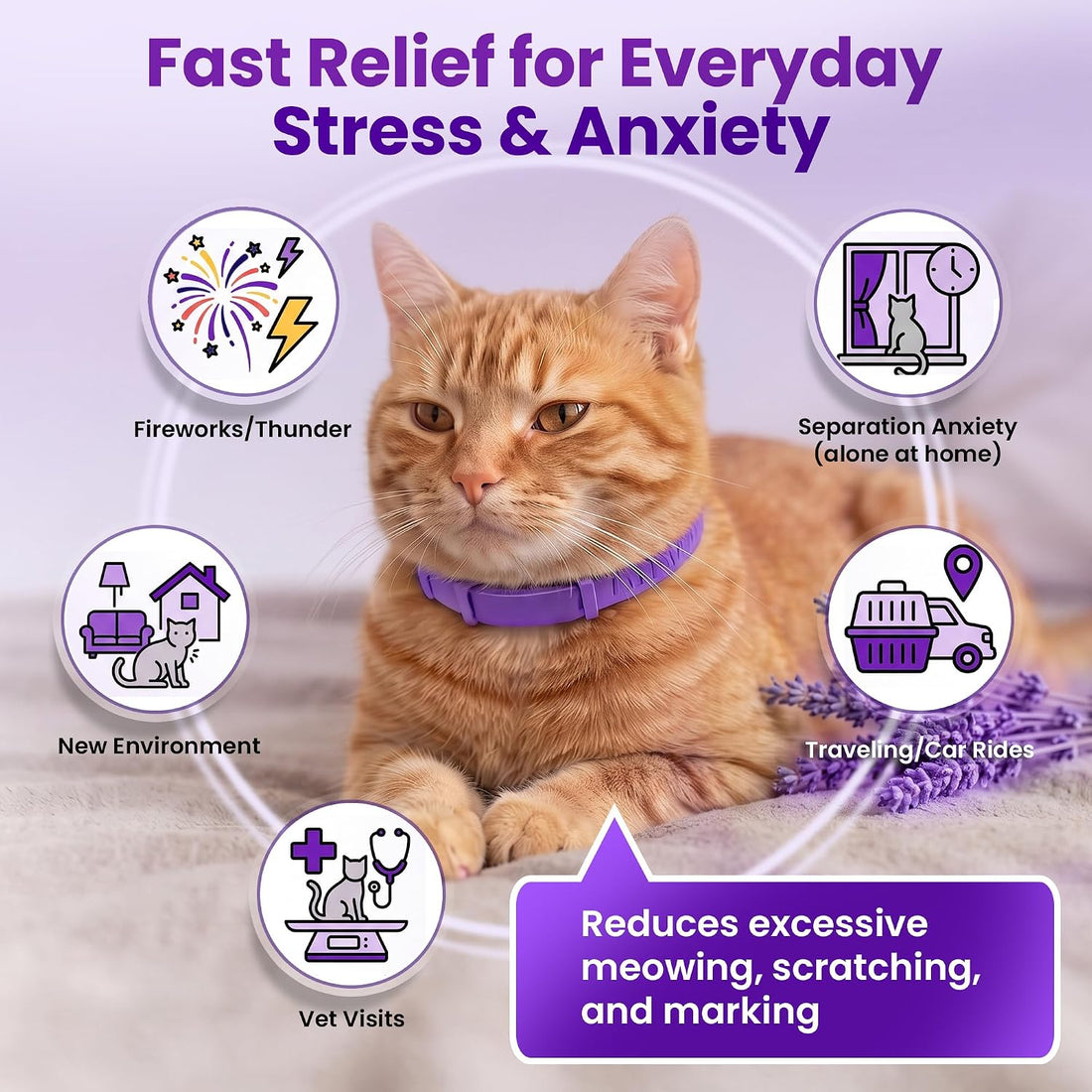Cat Calming Collar, 4 Pack – 30 Day Pheromone Calming Collars for Cats