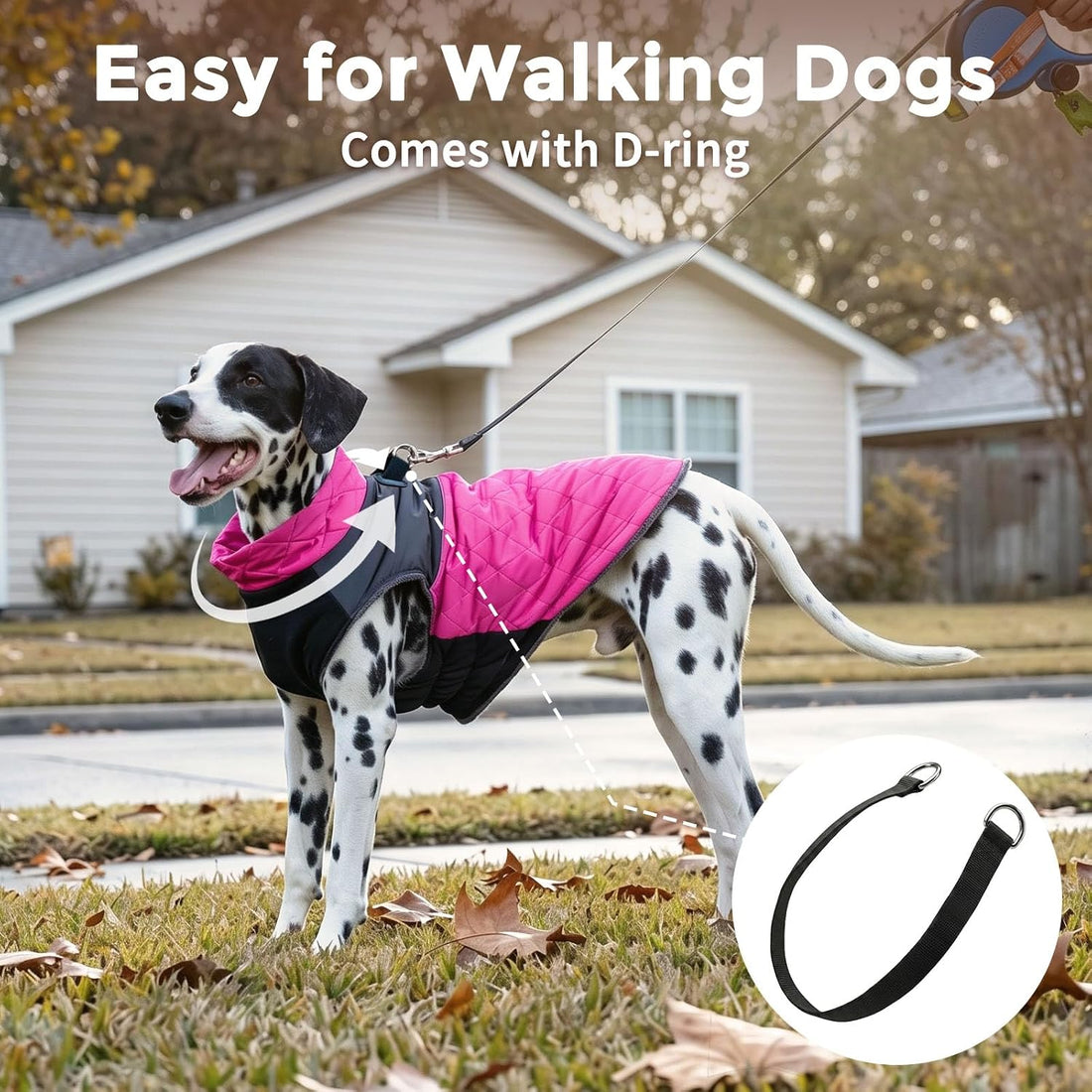 JoyDaog Winter Dog Coats for Small Dogs,Puppy Jacket