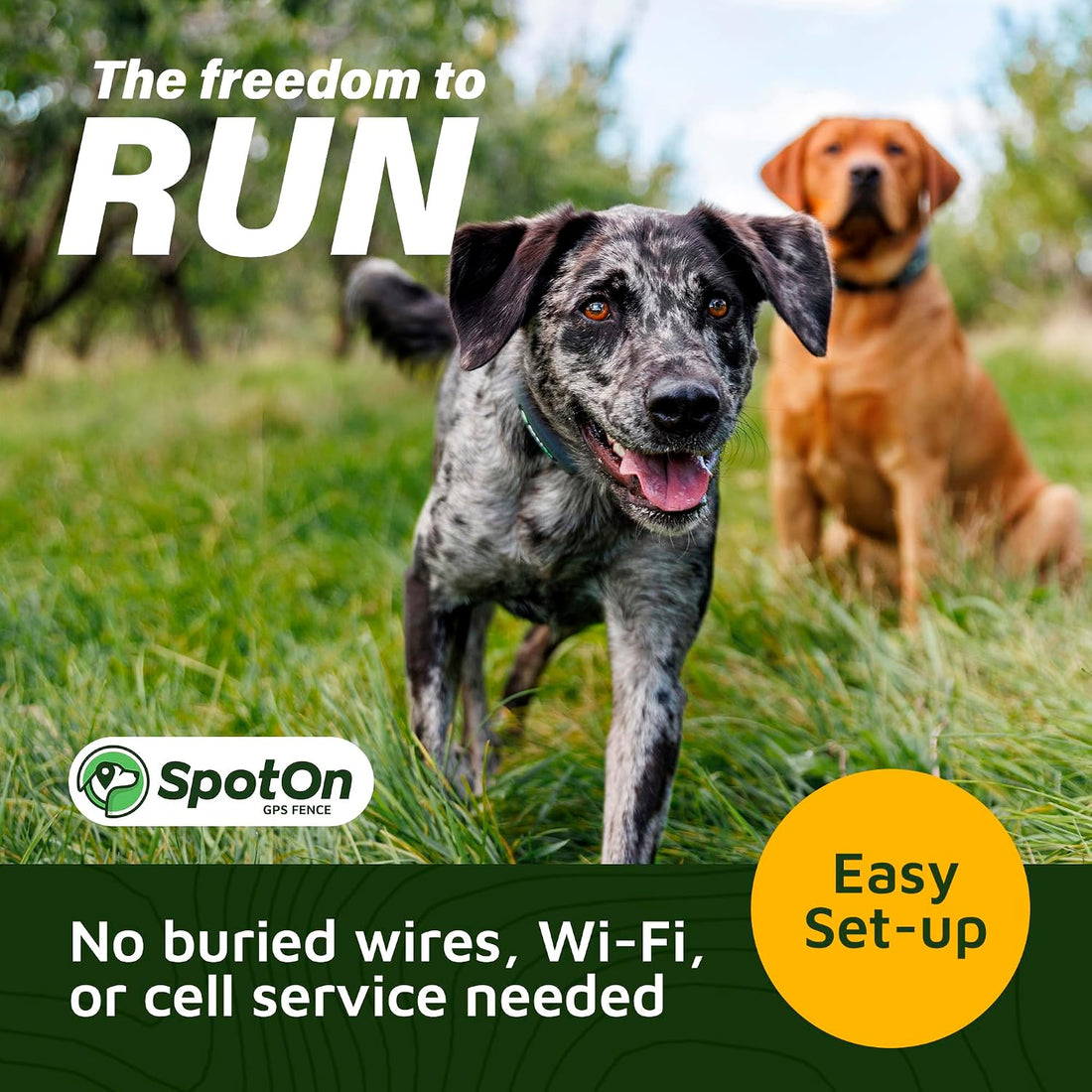 SpotOn Omni GPS Dog Fence Collar, Medium Dogs 12-18 Inch Neck