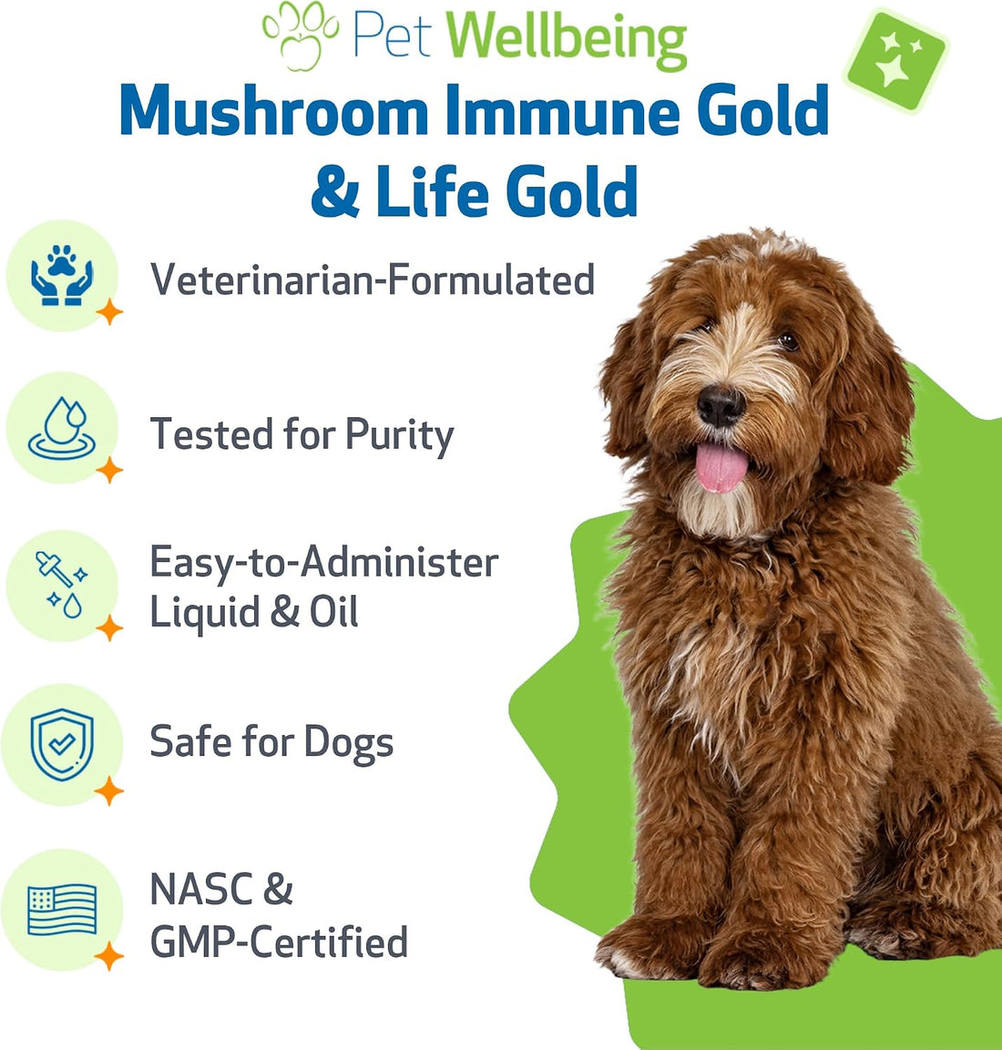 Pet Wellbeing More Mushrooms Value Size for Dogs